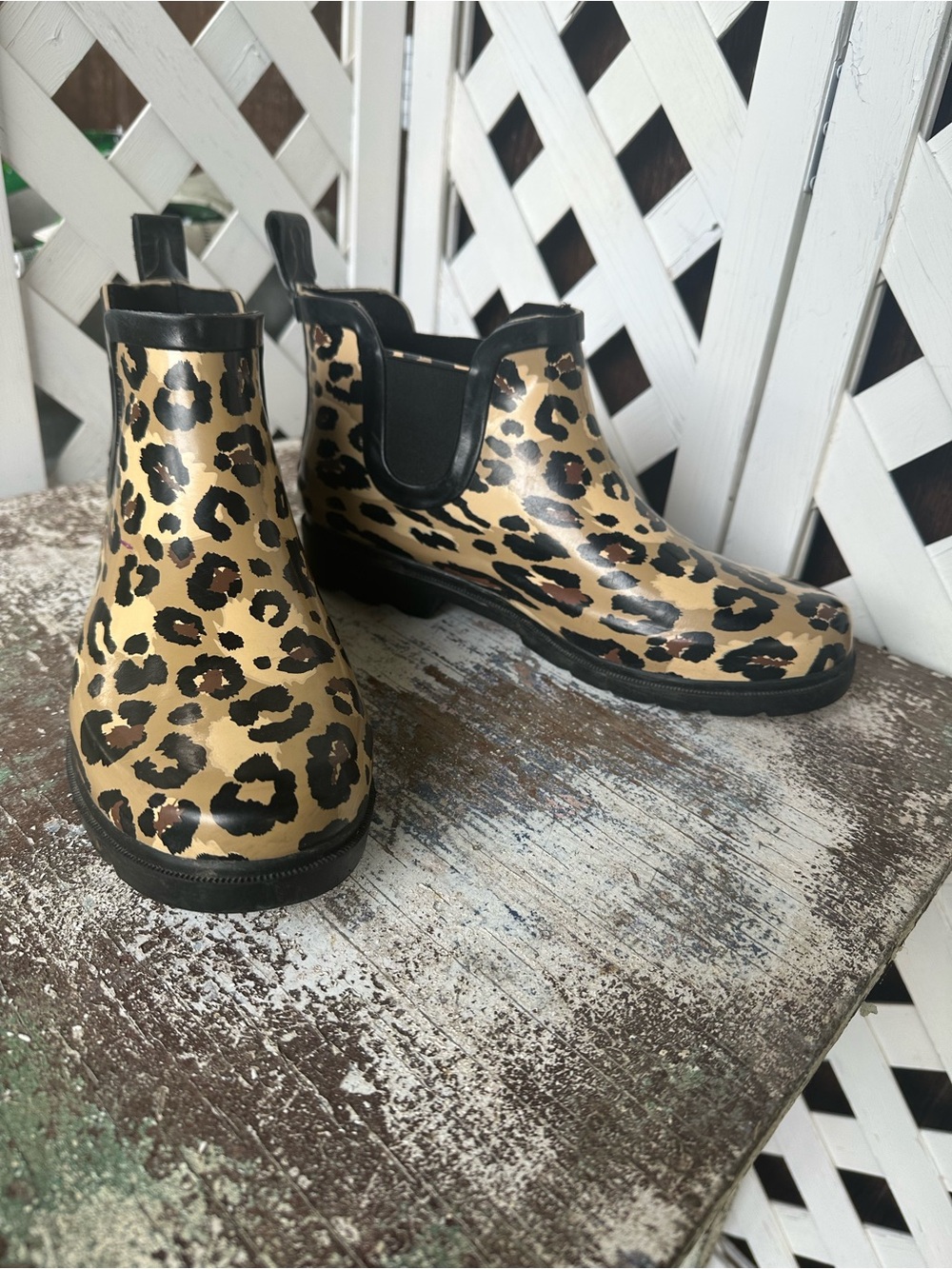 Capella Leopard Print Rain Chelsea Boots - Glossy Tan & Black